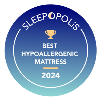 <p>Best Hypoallergenic Mattress</p>