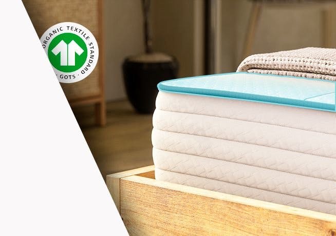 Wrapped in Natural Luxury