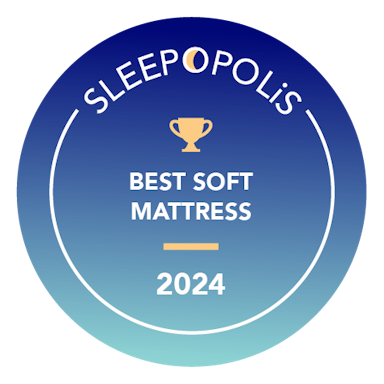 Best Soft Mattress