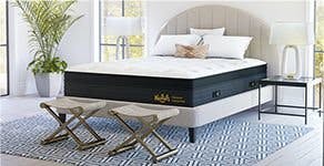 Evolution 15" Mattress